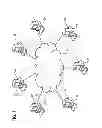 Fig. 02 - METHOD AND SYSTEM UTILIZING MERCHANT SALES ACTIVITY TO PROVIDE INDICATIVE MEASUREMENTS OF MERCHANT AND BUSINESS PERFORMANCE