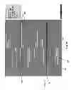 Fig. 16 - ISSUE-BASED ANALYSIS AND VISUALIZATION OF POLITICAL ACTORS AND ENTITIES