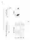 Fig. 08 - SYSTEM AND METHOD FOR DISSEMINATION AND ASSESSMENT OF PERFORMANCE METRICS AND RELATED BEST PRACTICES INFORMATION