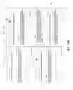 Fig. 19 - SYSTEM AND METHOD FOR DISSEMINATION AND ASSESSMENT OF PERFORMANCE METRICS AND RELATED BEST PRACTICES INFORMATION