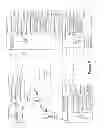 Fig. 10 - Processing of Electronic Referral Hyperlinks