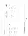 Fig. 06 - Processing of Electronic Referral Hyperlinks