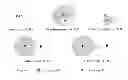 Fig. 01 - METHODS AND SYSTEMS FOR SERVICE DISCOVERY AND SELECTION