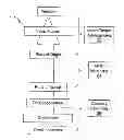 Fig. 01 - INLAND FREIGHT MANAGEMENT