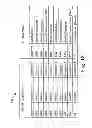 Fig. 13 - INLAND FREIGHT MANAGEMENT