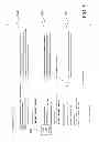 Fig. 06 - HIGHLIGHTING GUEST REVIEWS