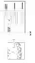 Fig. 07 - Automated Network Disturbance Prediction System Method & Apparatus