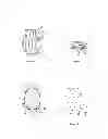 Fig. 02 - Illuminated Headgear Cover