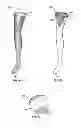 Fig. 02 - Hosiery with Sheer Outer Layer and Skin Color Base Layer