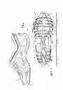 Fig. 02 - Flexible shoe sole