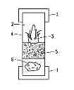 Fig. 01 - PLANT ARTIFICIAL SEEDS AND METHODS FOR THE PRODUCTION THEREOF