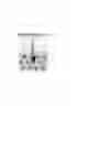 Fig. 29 - PLANT ARTIFICIAL SEEDS AND METHODS FOR THE PRODUCTION THEREOF