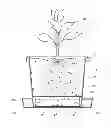 Fig. 01 - Self-watering fruit tree container with root pruning aerations apertures and exterior water level indicator