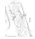 Fig. 49 - Slider window assembly