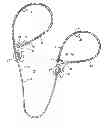 Fig. 01 - DOUBLE LOOP ADJUSTABLE LEASH