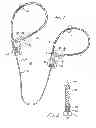 Fig. 02 - DOUBLE LOOP ADJUSTABLE LEASH
