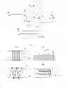 Fig. 04 - State quantity distribution measuring apparatus and method of measuring state quantity distribution of sample