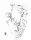 Fig. 02 - Steering device