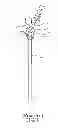 Fig. 02 - Steplessly adjustable cymbal locating device