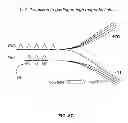 Fig. 12 - Isotope separation by magnetic activation and separation