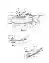 Fig. 04 - Aquatic feeding device