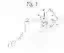 Fig. 02 - CANINE DIRECTIONAL COMMAND SYSTEM