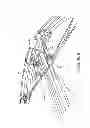 Fig. 08 - Bow dampener