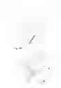 Fig. 33 - Humidifiers for respiratory apparatus