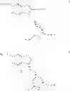 Fig. 32 - Hair dyeing process using a composition comprising at least one indole or indoline compound, a metal salt, hydrogen peroxide and a basifying agent