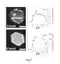 Fig. 04 - High quality large scale single and multilayer graphene production by chemical vapor deposition
