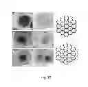 Fig. 08 - High quality large scale single and multilayer graphene production by chemical vapor deposition
