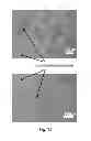 Fig. 10 - High quality large scale single and multilayer graphene production by chemical vapor deposition