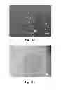 Fig. 11 - High quality large scale single and multilayer graphene production by chemical vapor deposition
