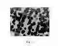 Fig. 13 - High quality large scale single and multilayer graphene production by chemical vapor deposition