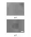 Fig. 16 - High quality large scale single and multilayer graphene production by chemical vapor deposition