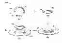 Fig. 01 - Methods and apparatus to form electrical interconnects on ophthalmic devices