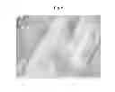 Fig. 03 - Multi-component non-woven