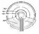 Fig. 01 - MEASURING ROTATION AND TILT OF A WHEEL ON AN INPUT DEVICE