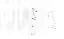 Fig. 04 - Test device for wireless electronic devices
