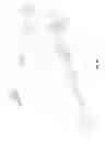 Fig. 02 - Extra-sensory perception sharing force capability and unknown terrain identification system
