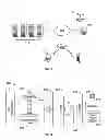 Fig. 02 - Avatar eye control in a multi-user animation environment
