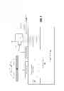 Fig. 07 - Broadband imager