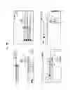 Fig. 22 - Apparatus for processing a service and method thereof