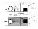 Fig. 02 - System and method for evaluating ocular health