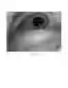 Fig. 09 - System and method for evaluating ocular health