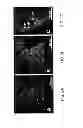 Fig. 03 - Method and apparatus for optical imaging via spectral encoding