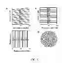 Fig. 20 - Method and apparatus for optical imaging via spectral encoding