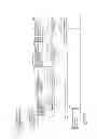Fig. 09 - Image forming apparatus with time-divisional function execution