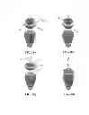 Fig. 24 - SOLID-STATE LAMPS WITH IMPROVED RADIAL EMISSION AND THERMAL PERFORMANCE