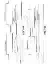 Fig. 15 - Charge cycling by equalizing the source and bit line levels between pulses during no-verify write operations for NAND flash memory
